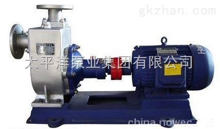 100ZXP100-20不锈钢自吸清水泵